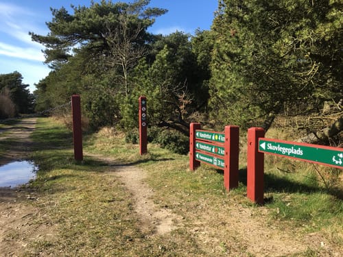 Kirkeby Plantage - Gul Rute
