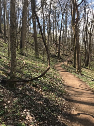 Percy Warner Hiking Trails Best 10 Trails In Percy Warner Park | Alltrails