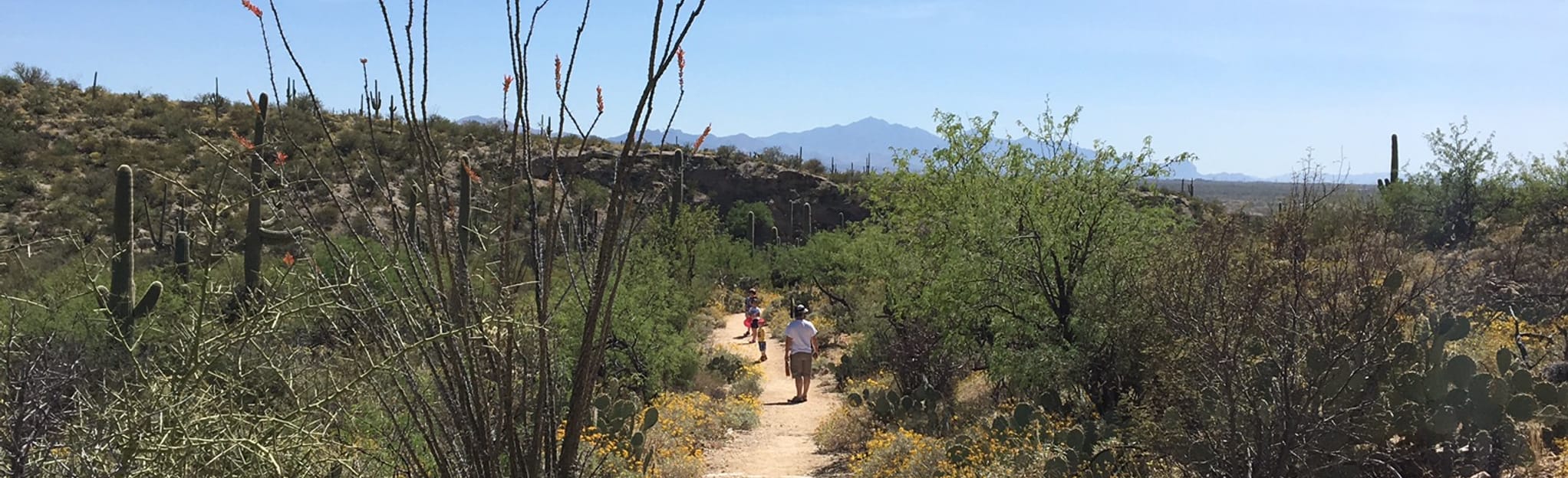 AllTrails Freeman Homestead Nature Trail 571 Reviews, Map Arizona