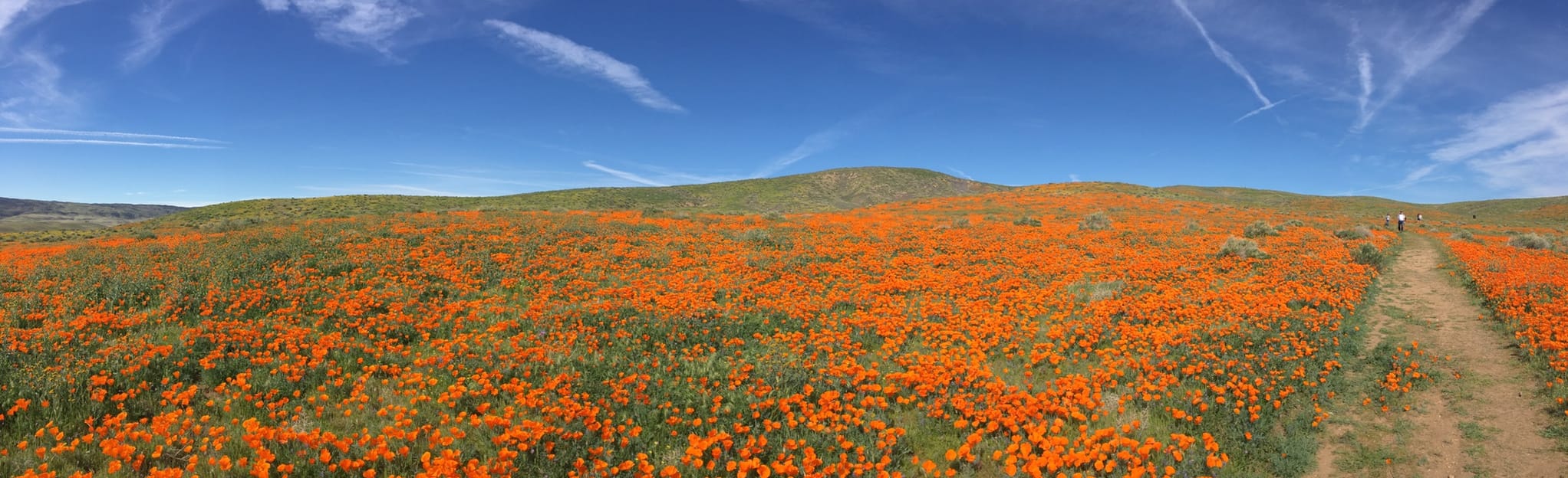 Antelope Loop Trail - California  AllTrails