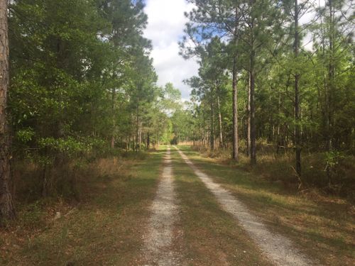 Best Hikes and Trails in Ralph E Simmons State Forest AllTrails