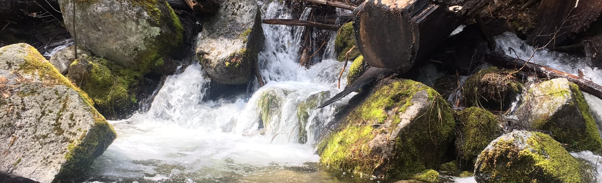 Boulder Creek, California 12 Reviews, Map AllTrails