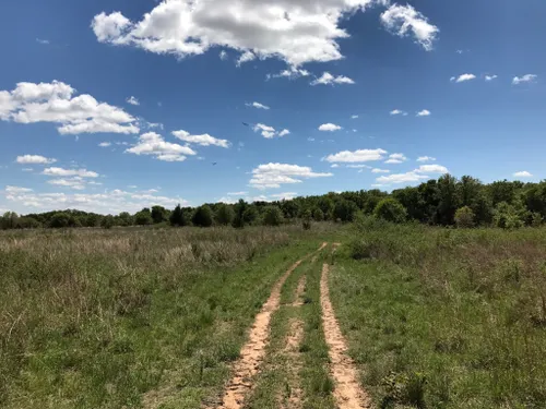 Best Hikes And Trails In Lyndon B. Johnson National Grassland | AllTrails