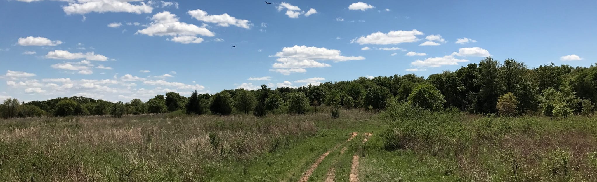 LBJ Grasslands Blue Trail 121 Reviews, Map Texas AllTrails