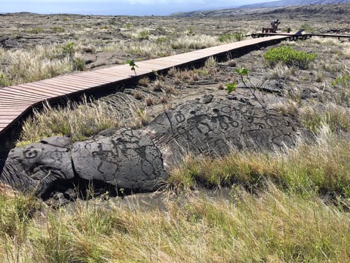 Best 10 Hikes and Trails in Hawai'i Volcanoes National Park | AllTrails