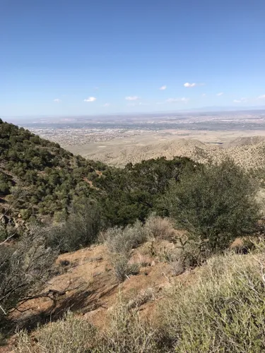 10 Best Hikes and Trails in Sandia Mountain Wilderness | AllTrails