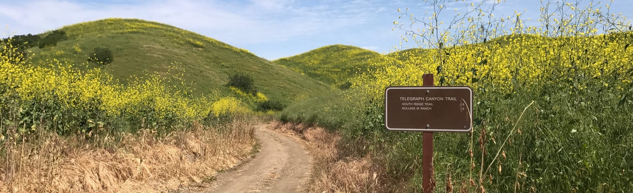 Telegraph Canyon Trail via Rimcrest Entrance, California 144 Reviews, Map AllTrails