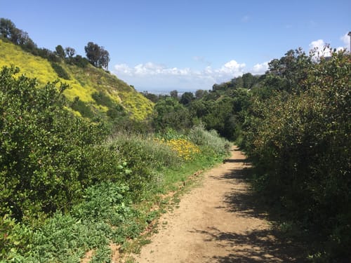 2023 Best Horseback Riding Trails in Palos Verdes Peninsula  AllTrails