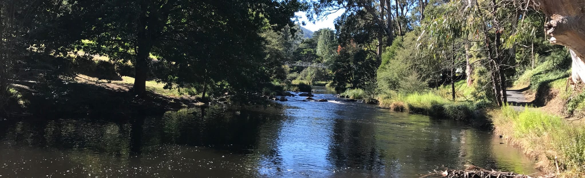 Warburton River Walk, Victoria, Australia - 140 Reviews, Map | AllTrails