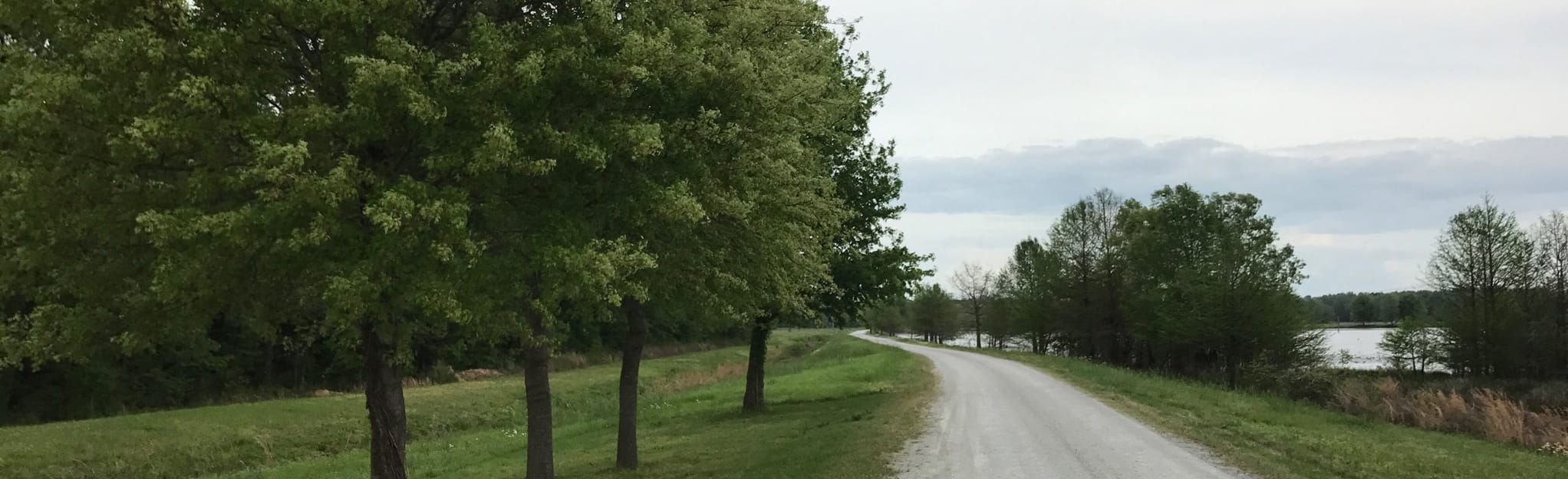 ONeal Lake Loop 69 Fotos Tennessee AllTrails