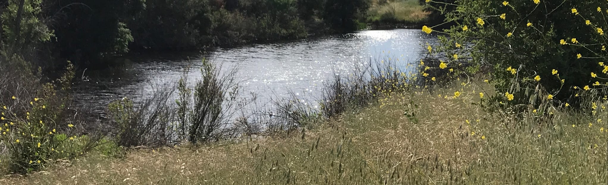 AllTrails Tijeras Creek Loop 311 Reviews, Map California