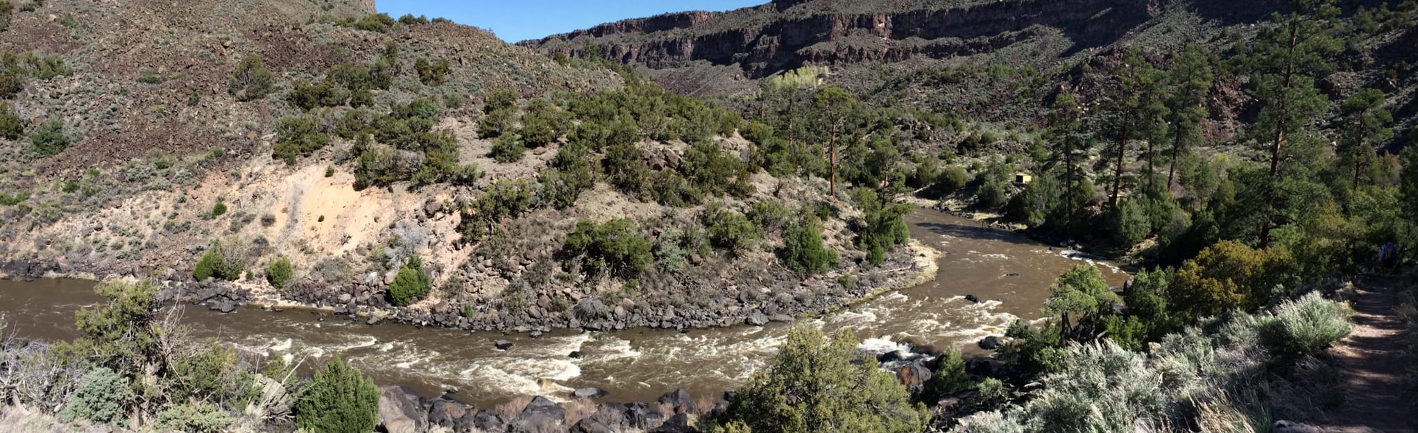 Rio Grande Trail, New Mexico 87 Reviews, Map AllTrails