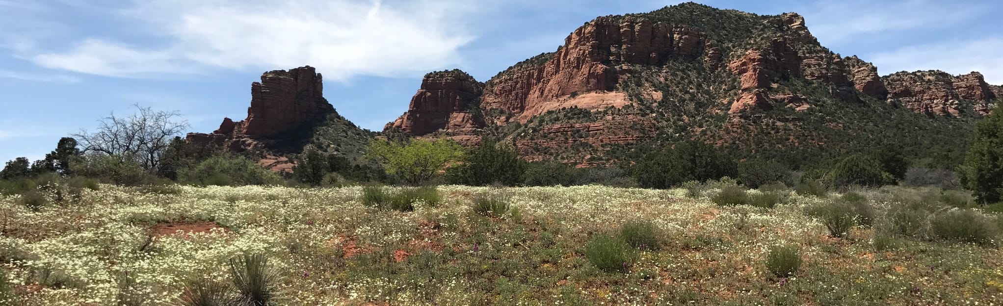 bell rock pathway mountain bike trail