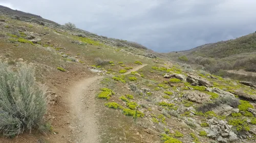 10 Best Mountain Biking Trails in Corner Canyon Regional Park