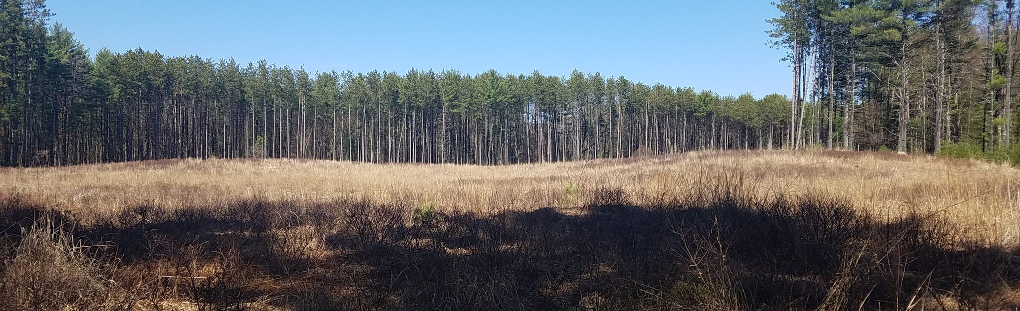 Bullard Trail, New York 105 Reviews, Map AllTrails