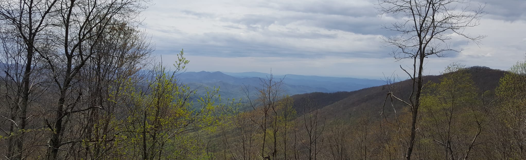 Sugar Cove Trail 5 Reviews, Map Tennessee AllTrails