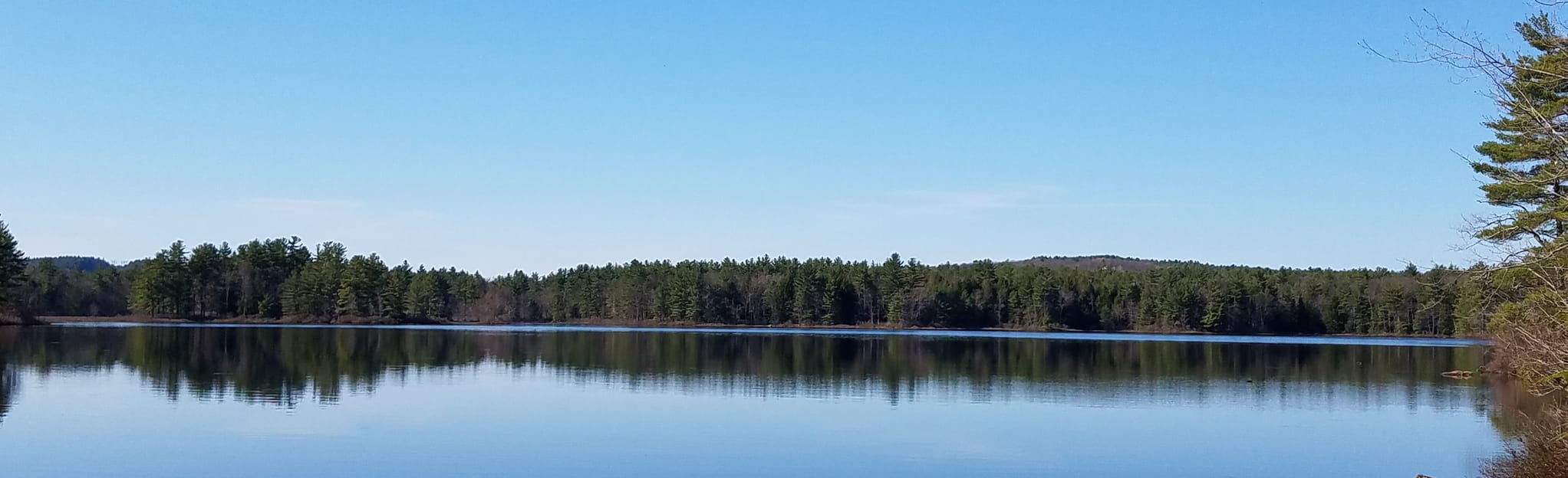 Kimball Pond Loop 208 Fotos New Hampshire AllTrails