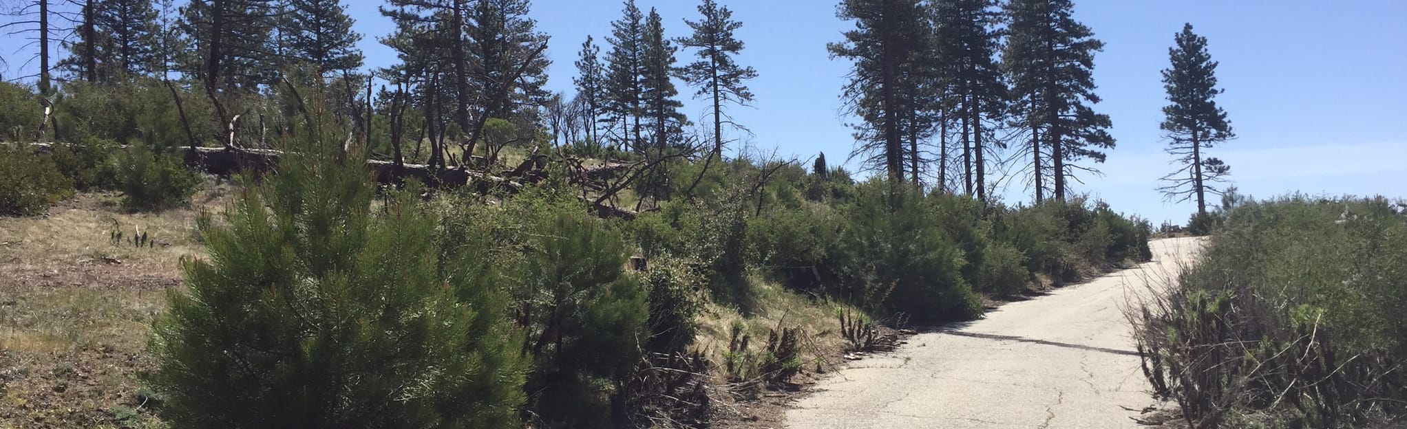 Silver Moccasin Trail Shortcut - EyJidWNrZXQiOiJhc3NldHMuYWxsdHJhaWxzLmNvbSIsImtleSI6InVwbG9hZHMvcGhvdG8vaW1hZ2UvMTkxMTIzMTQvOGU5MmJmMjE3ZmJjOGVjZjhhODY1YzZlNTRkYzZlMDAuanBnIiwiZWRpdHMiOnsidG9Gb3JtYXQiOiJqcGVnIiwicmVzaXplIjp7IndpZHRoIjoyMDQ0LCJoZWlnaHQiOjYyNCwiZml0IjoiY292ZXIifSwicm90YXRlIjpudWxsLCJqcGVnIjp7InRyZWxsaXNRdWFudGlzYXRpb24iOnRydWUsIm92ZXJzaG9vdERlcmluZ2luZyI6dHJ1ZSwib3B0aW1pc2VTY2FucyI6dHJ1ZSwicXVhbnRpc2F0aW9uVGFibGUiOjN9fX0=