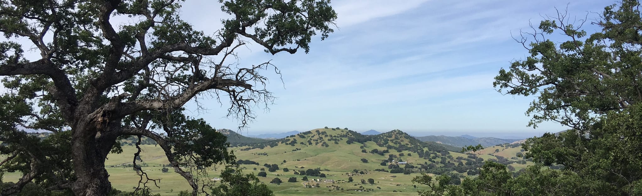 Santa Ysabel Nature Center Loop Trail 789 foto California AllTrails