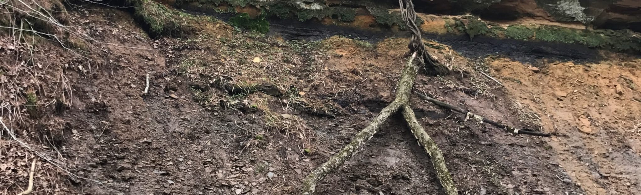 Devil's Punchbowl Trail 64 Reviews, Map Wisconsin AllTrails