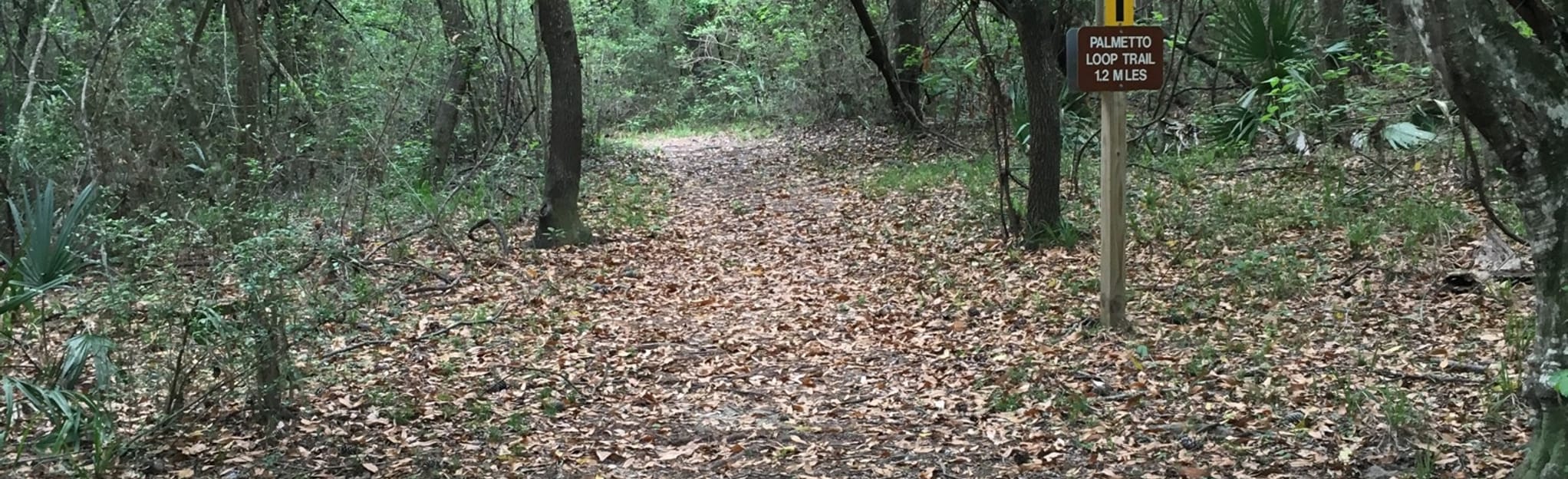 Copperhead Loop Trail, Texas 34 Reviews, Map AllTrails
