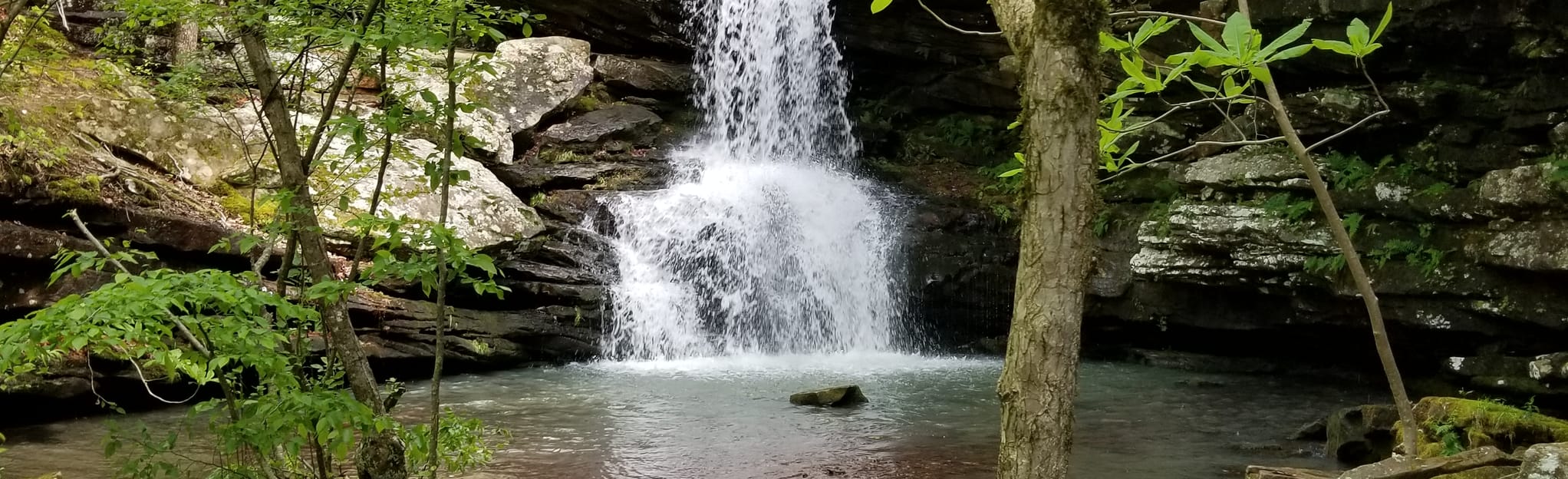 Magnolia Falls 686 foto's Arkansas AllTrails