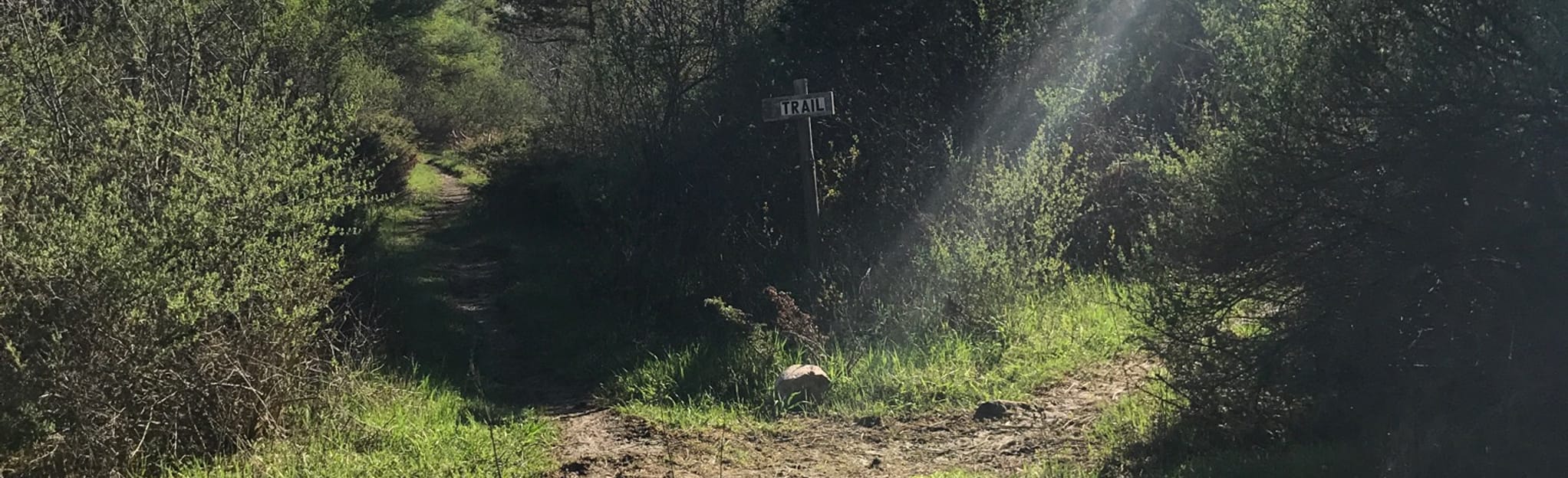 Chaumont Barrens Preserve, New York 98 Reviews, Map AllTrails
