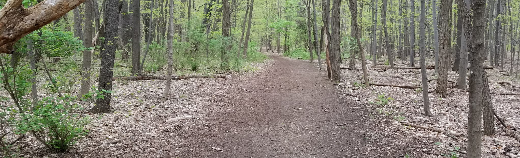 Rotary Park Loop, Michigan - 1,028 Reviews, Map | AllTrails