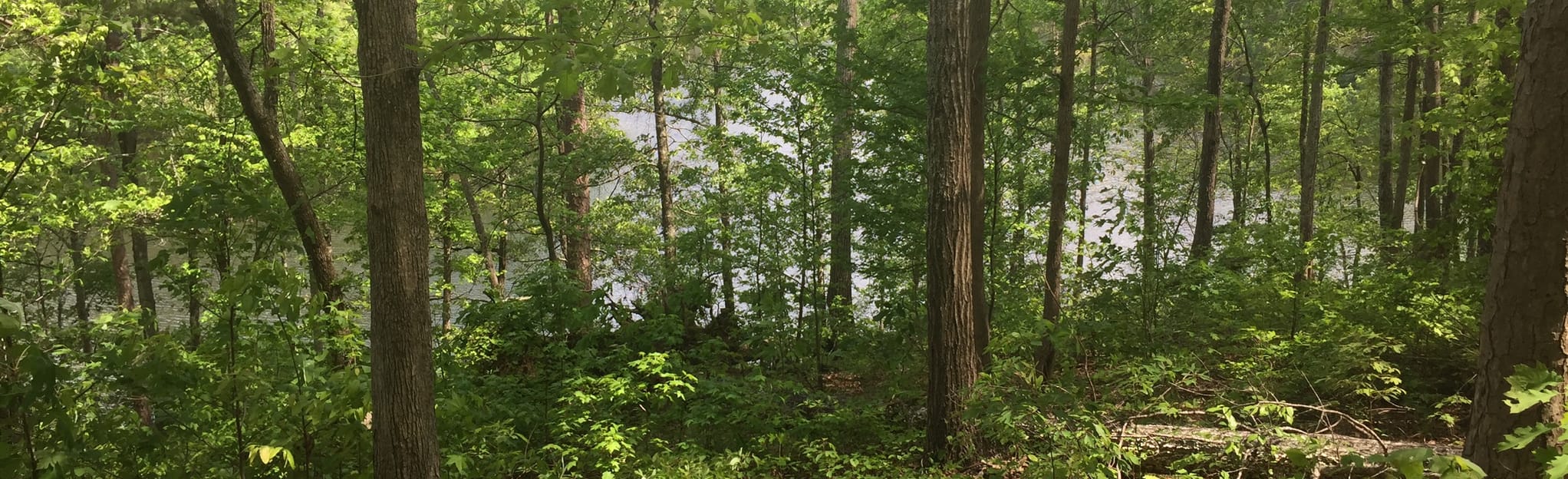 Pinhoti Trail Coleman Lake to Sweetwater Lake 79 Reviews, Map