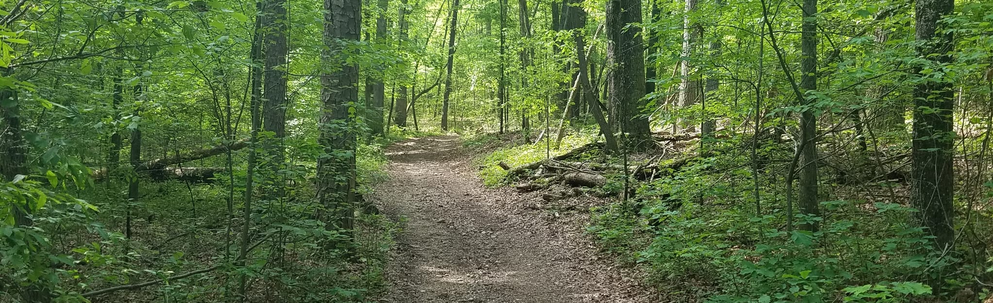 Snodgrass Hill Loop 397 Reviews, Map AllTrails