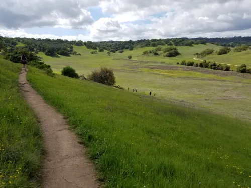 are dogs allowed at santa rosa plateau