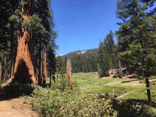 Sequoia national 2024 park alltrails