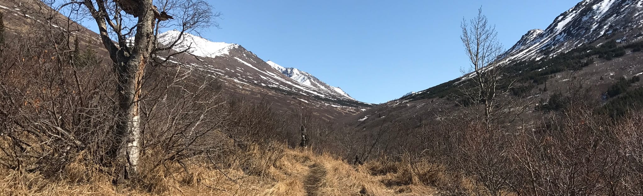 The Dome, Alaska - 94 Reviews, Map | AllTrails
