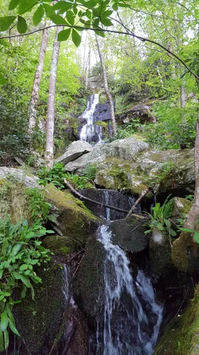 10 Best Trails and Hikes in Cosby | AllTrails