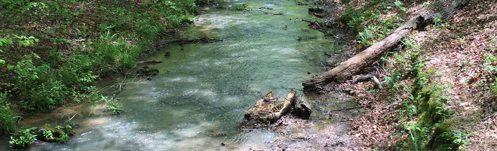 Shoals CreekLawson Branch, Alabama 268 Reviews, Map AllTrails