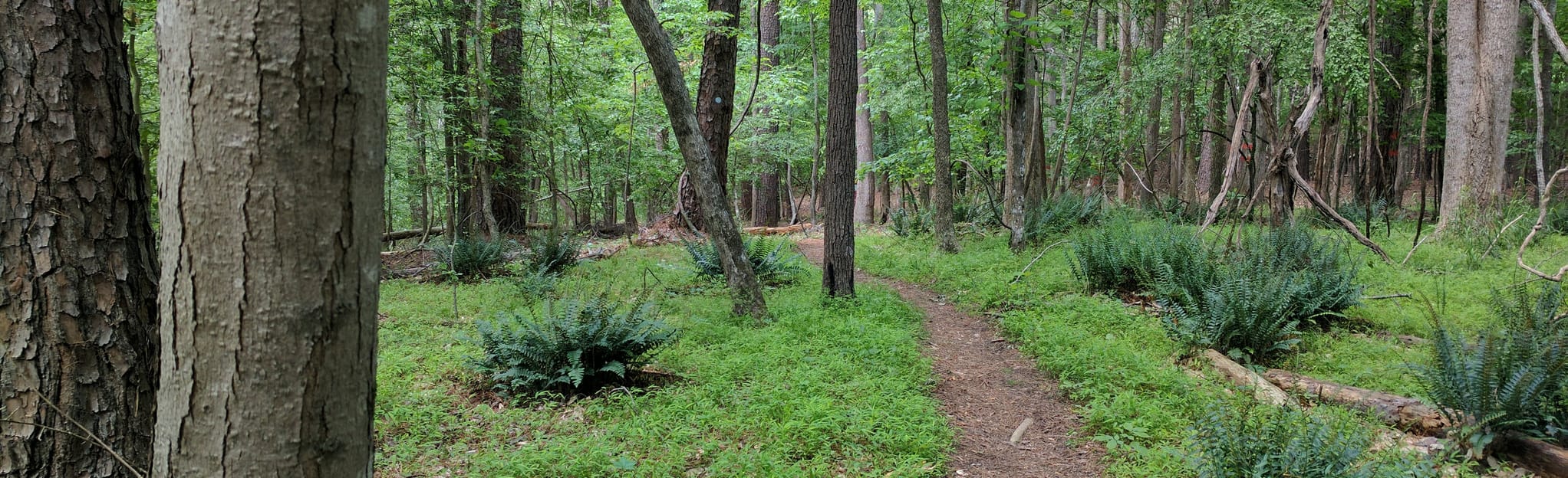 Honeycutt Creek Greenway North - EyJidWNrZXQiOiJhc3NldHMuYWxsdHJhaWxzLmNvbSIsImtleSI6InVwbG9hZHMvcGhvdG8vaW1hZ2UvMTkxNTAyODQvYTM0MDg0MmU4MjdmZjY2ZDQ5OTA1NWQ1NGNjNjZjNDguanBnIiwiZWRpdHMiOnsidG9Gb3JtYXQiOiJqcGVnIiwicmVzaXplIjp7IndpZHRoIjoyMDQ0LCJoZWlnaHQiOjYyNCwiZml0IjoiY292ZXIifSwicm90YXRlIjpudWxsLCJqcGVnIjp7InRyZWxsaXNRdWFudGlzYXRpb24iOnRydWUsIm92ZXJzaG9vdERlcmluZ2luZyI6dHJ1ZSwib3B0aW1pc2VTY2FucyI6dHJ1ZSwicXVhbnRpc2F0aW9uVGFibGUiOjN9fX0=