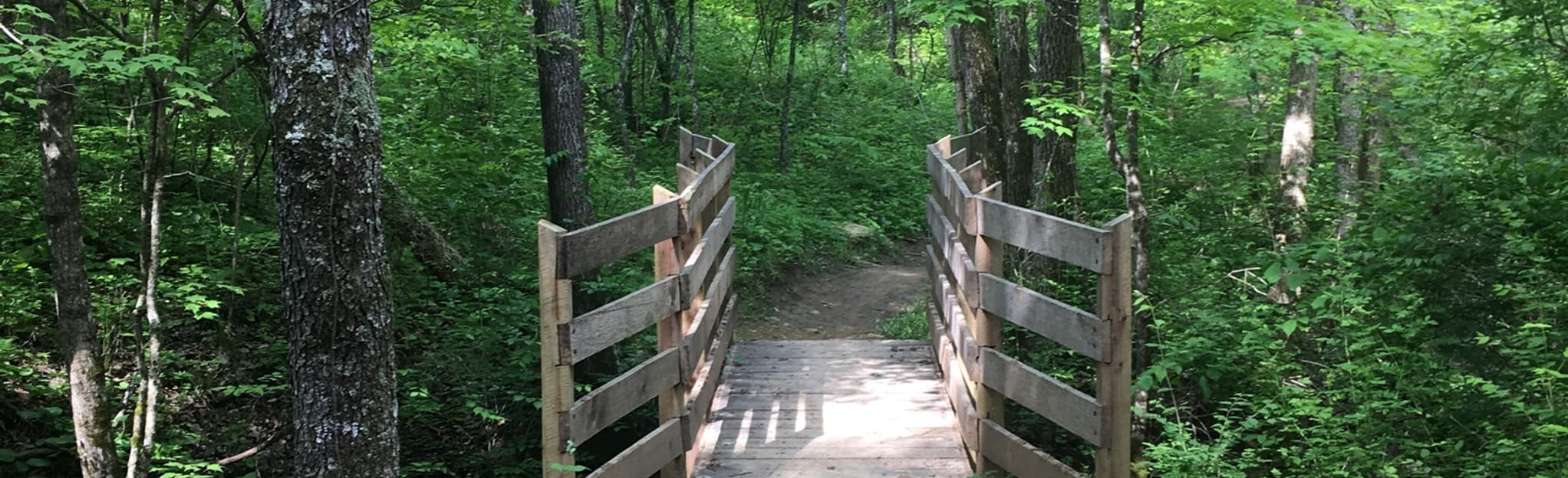 Paw Paw Trail to Hickory Trail Loop, Kentucky 382 Reviews, Map