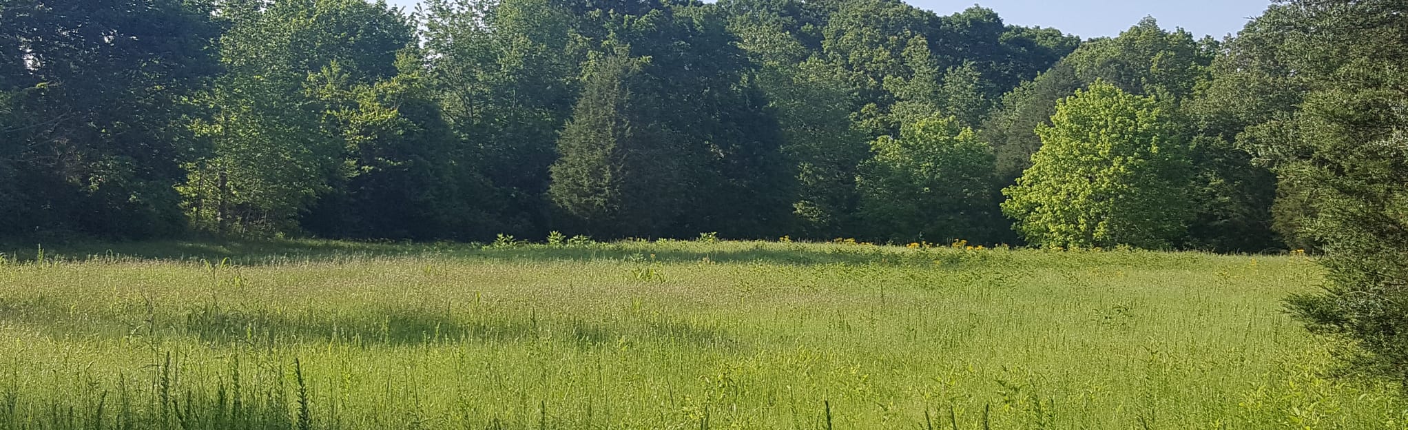 Shoals CreekJones Branch, Alabama 312 Reviews, Map AllTrails