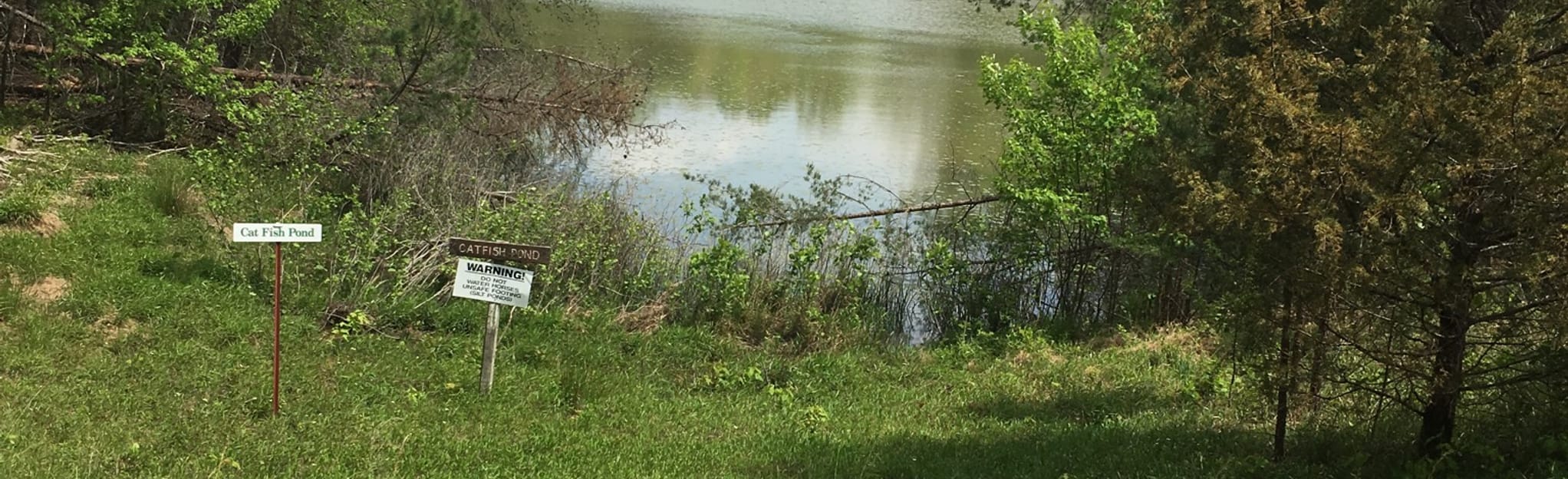 East Fork Loop, Tennessee 40 Reviews, Map AllTrails