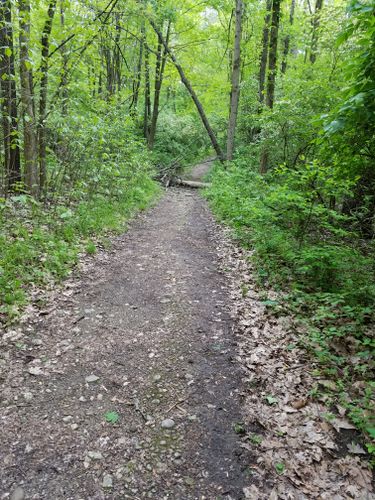 Best Hikes and Trails in John Bryan State Park | AllTrails