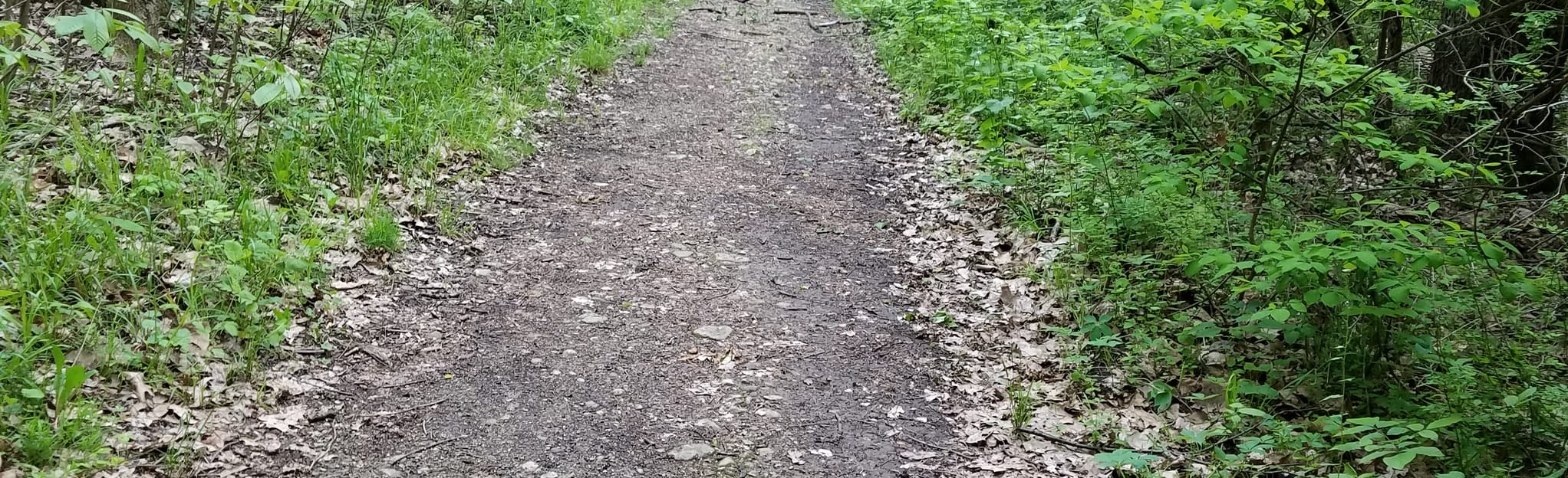 Arboretum Trail 137 Reviews, Map Ohio AllTrails