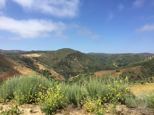 10 Best Hikes and Trails in Crystal - EyJidWNrZXQiOiJhc3NldHMuYWxsdHJhaWxzLmNvbSIsImtleSI6InVwbG9hZHMvcGhvdG8vaW1hZ2UvMTkxNjM2MzEvNjFjYjIxYzc3NDliNTVkMTcyMmJiNDE4NjIxNGZlZTIuanBnIiwiZWRpdHMiOnsidG9Gb3JtYXQiOiJ3ZWJwIiwicmVzaXplIjp7IndpZHRoIjo1MDAsImhlaWdodCI6NTAwLCJmaXQiOiJpbnNpZGUifSwicm90YXRlIjpudWxsLCJqcGVnIjp7InRyZWxsaXNRdWFudGlzYXRpb24iOnRydWUsIm92ZXJzaG9vdERlcmluZ2luZyI6dHJ1ZSwib3B0aW1pc2VTY2FucyI6dHJ1ZSwicXVhbnRpc2F0aW9uVGFibGUiOjN9fX0=