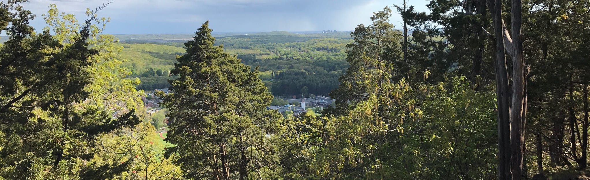 Sleeping Giant Head Yellow and Orange Loop Trail 433 Reviews, Map