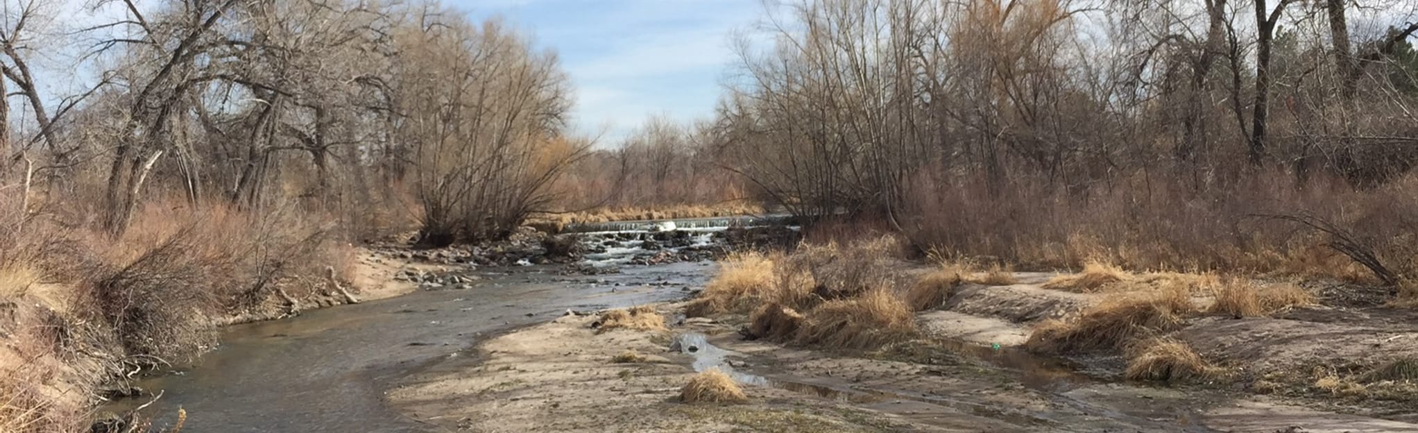 Cherry Creek Loop from Four Mile House Park 149 Reviews, Map