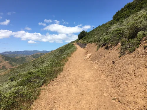 10 Best Trails and Hikes in Sausalito | AllTrails