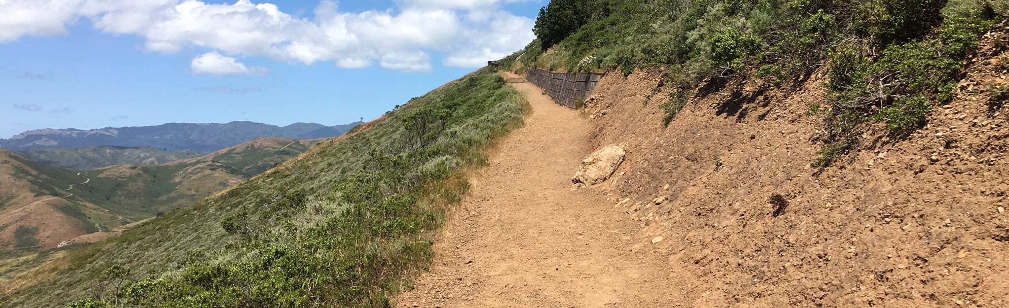 Coastal and Julian Trail Loop 602 Reviews, Map California AllTrails