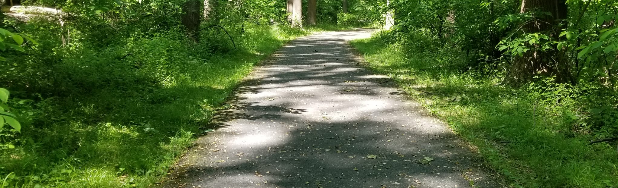 Wheaton Regional Park 282 Reviews, Map Maryland AllTrails