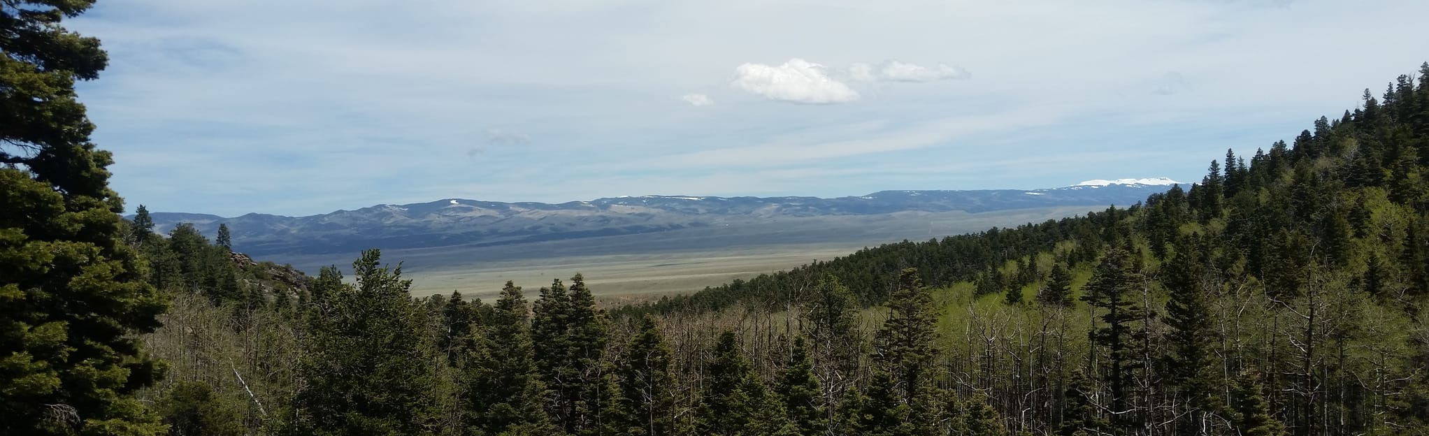 Crystal Falls Via Rainbow Trail: 230 Fotos - Colorado | AllTrails