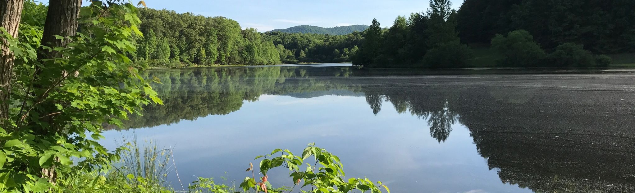 Wilkins Way Loop, Virginia 442 Reviews, Map AllTrails