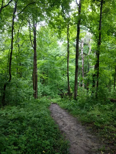 10 Best Trails and Hikes in Cincinnati | AllTrails